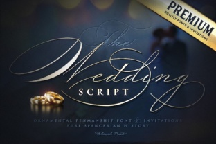 Download Wedding Script - Wedding script Collection