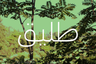 Download Taleeq - Arabic Typeface - Typeface Collection