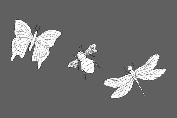 Download 3 Sketched Insects - Sketched Collection