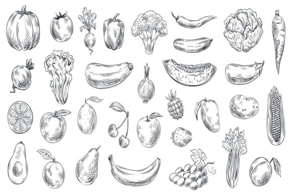 Download Sketched Vegetables and Fruits - Sketched Collection